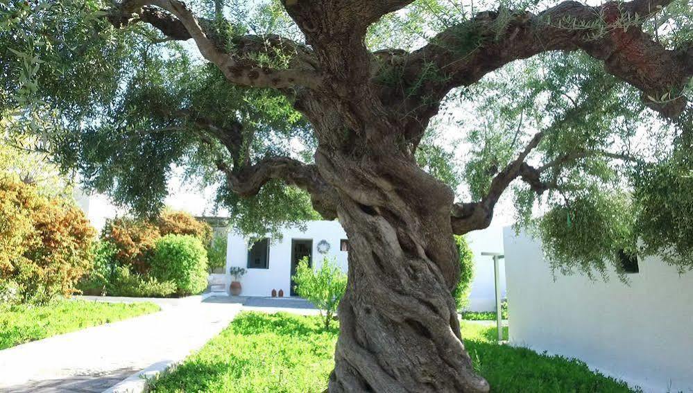 Niriides Villas Selinitsa エクステリア 写真